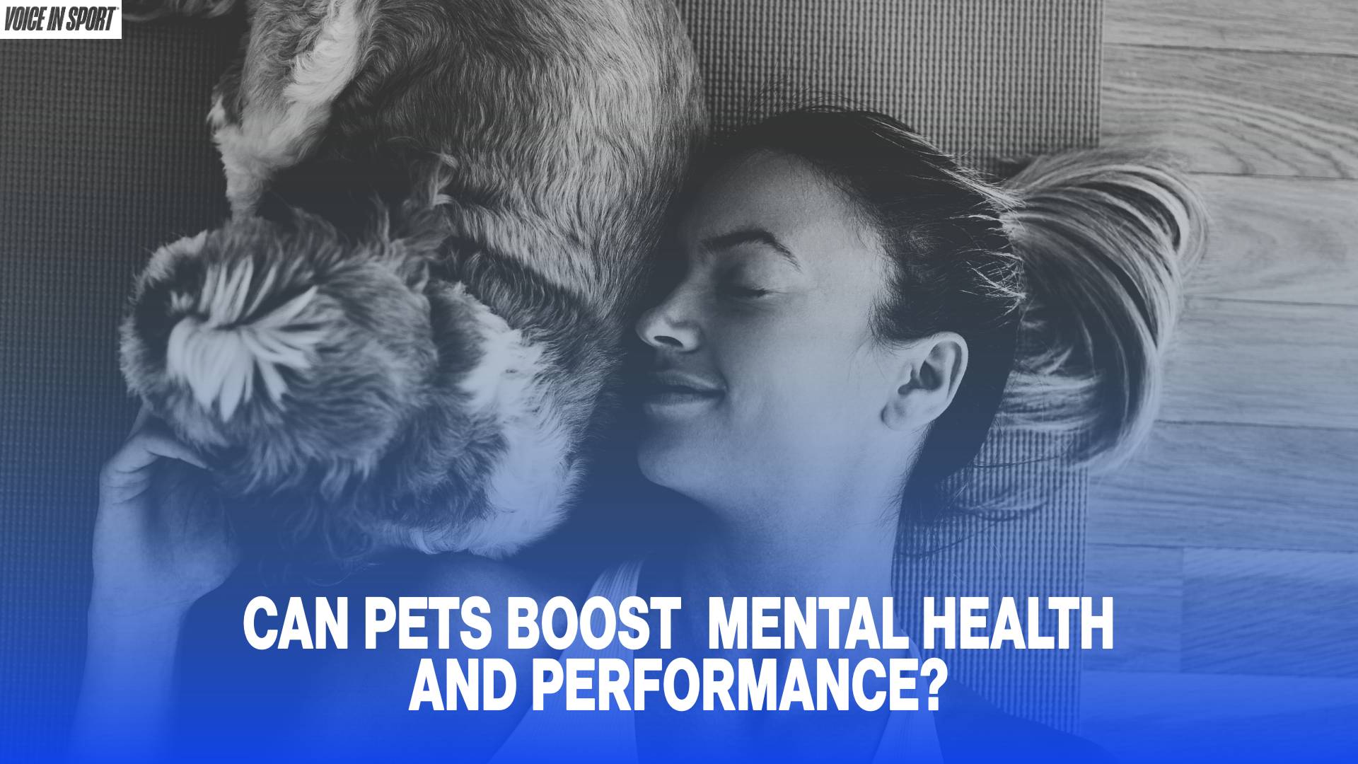 PETS+AND+PERFORMANCE