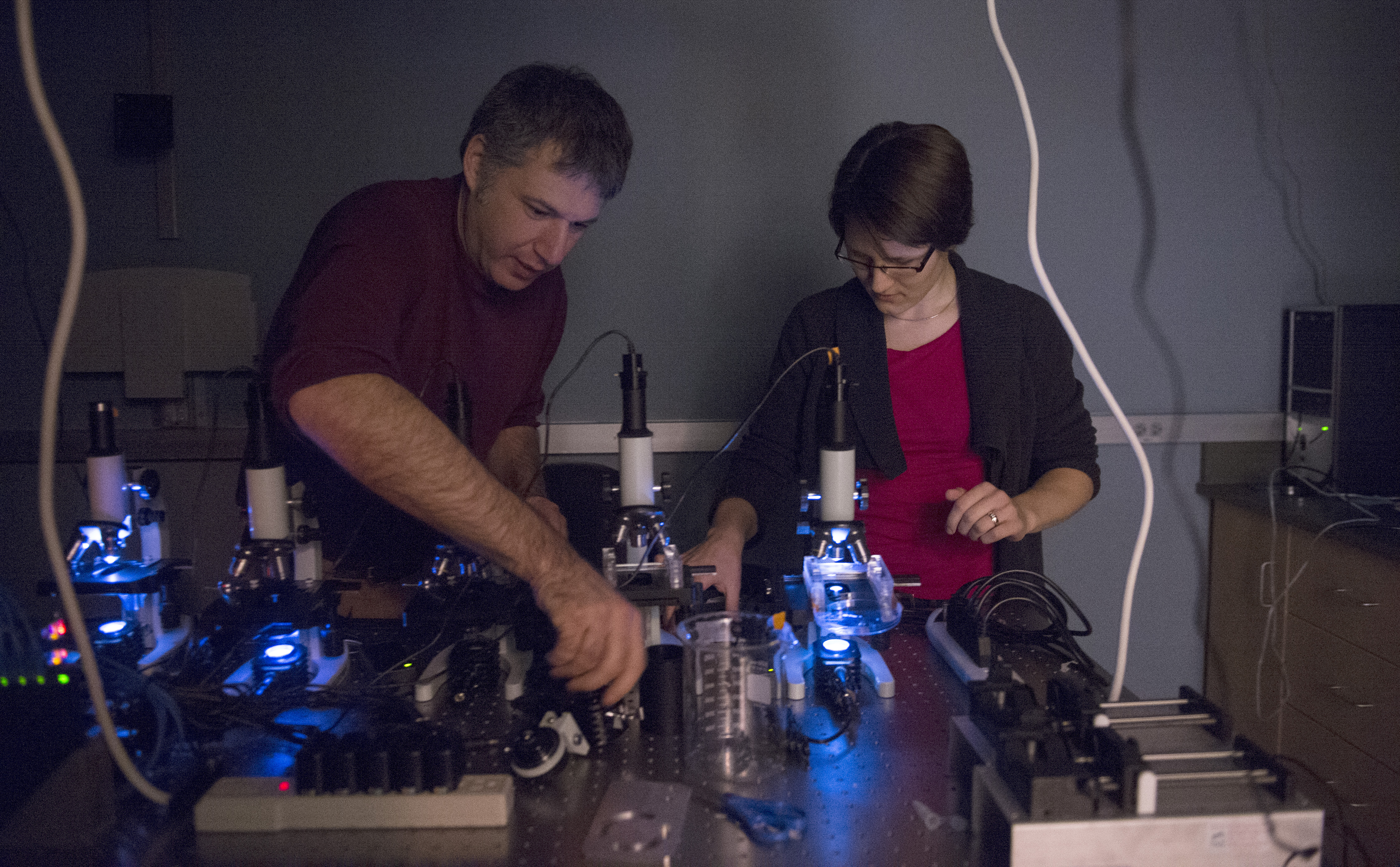 Physical Sciences Image