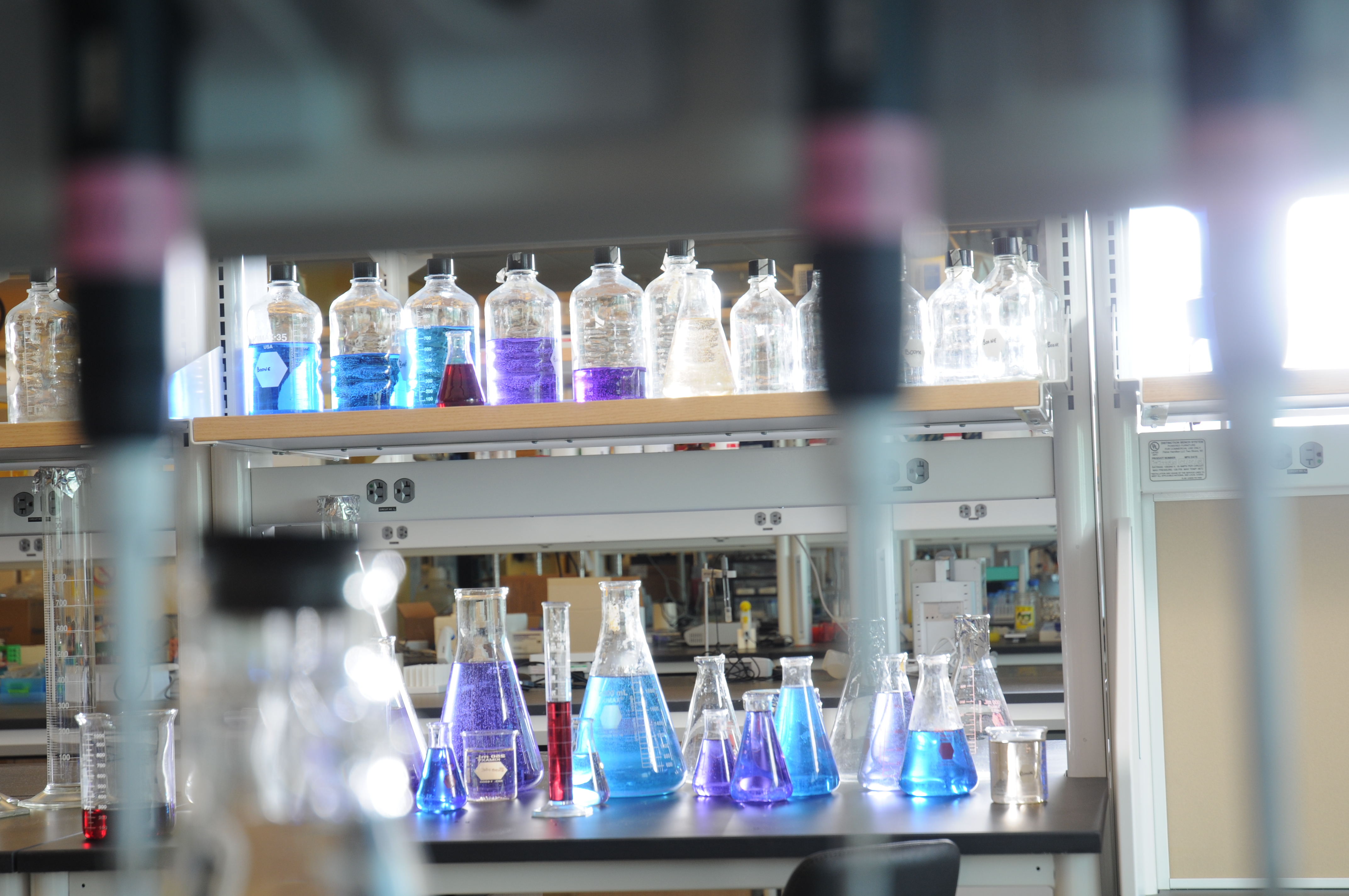 Life Sciences Image