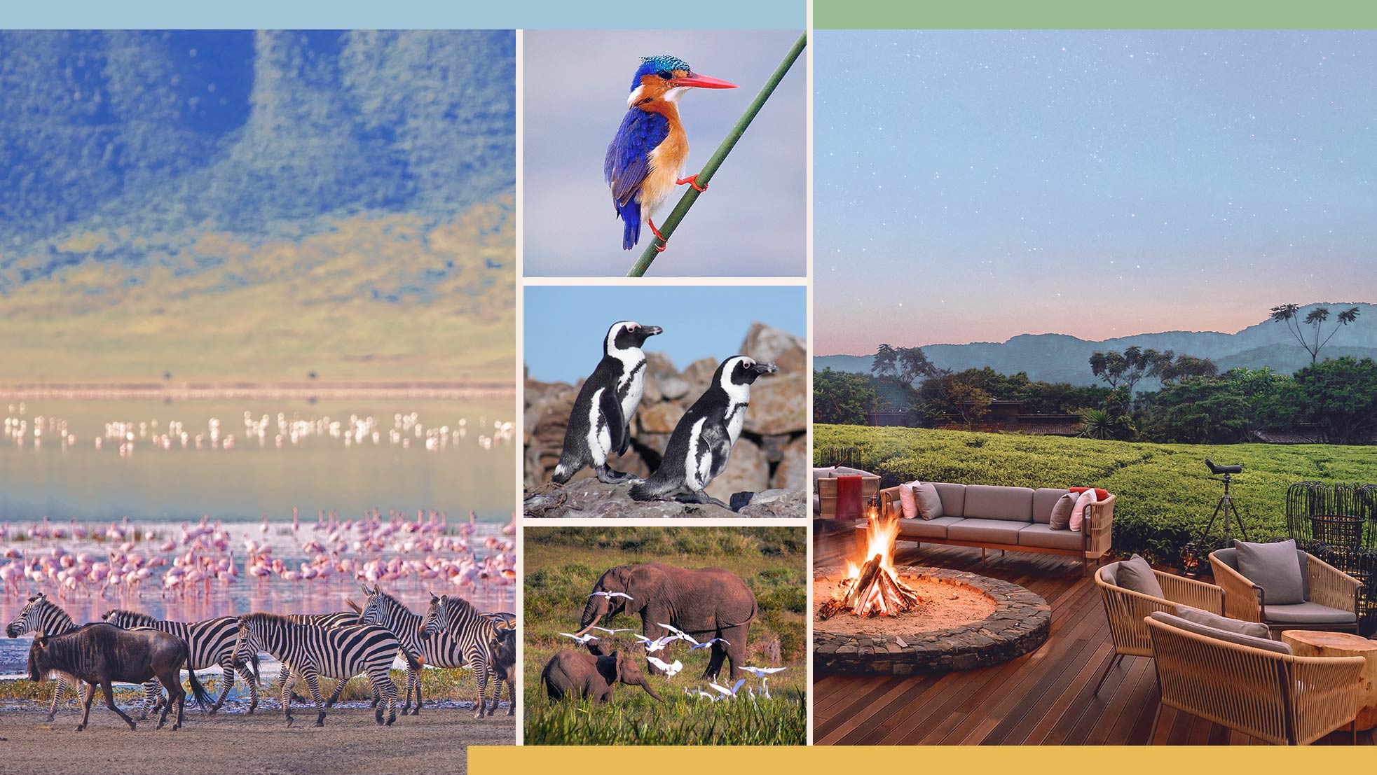 Guided Safaris® Experiences - LuxurySafariLodges.com