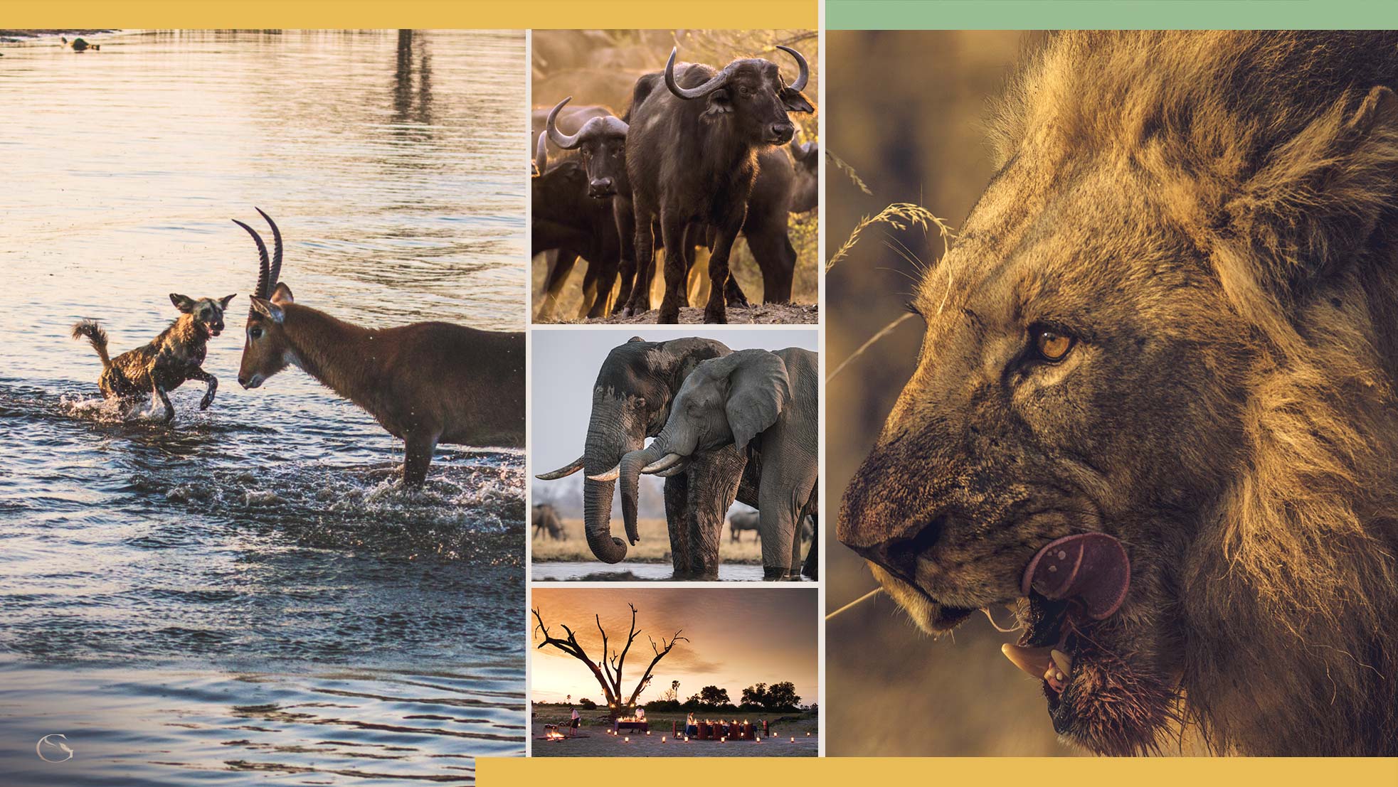 Private Botswana Safari - Guided Safaris®  LuxurySafariCamps.com
