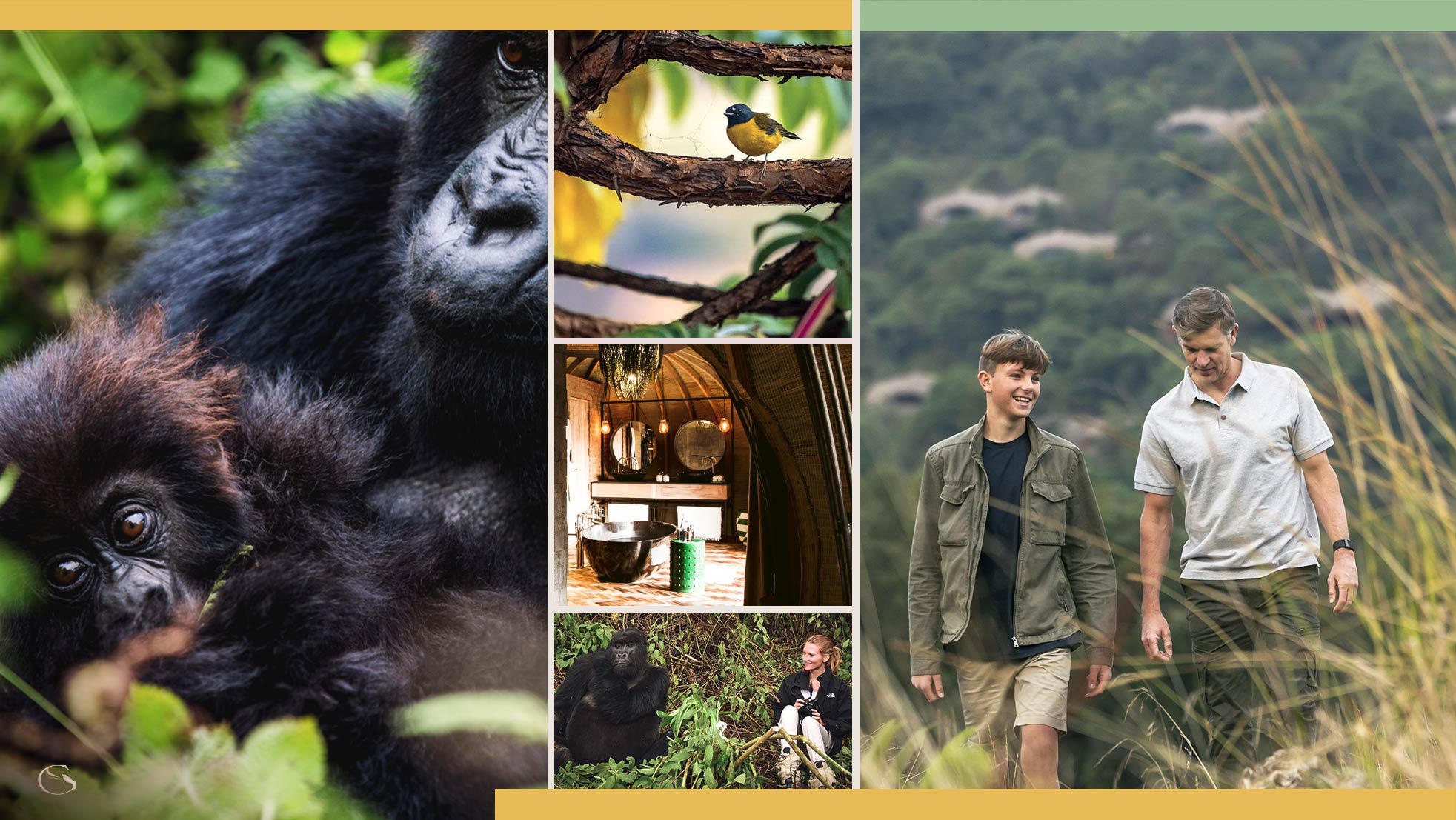 Private Gorilla Safari - Guided Safaris®  LuxurySafariCamps.com
