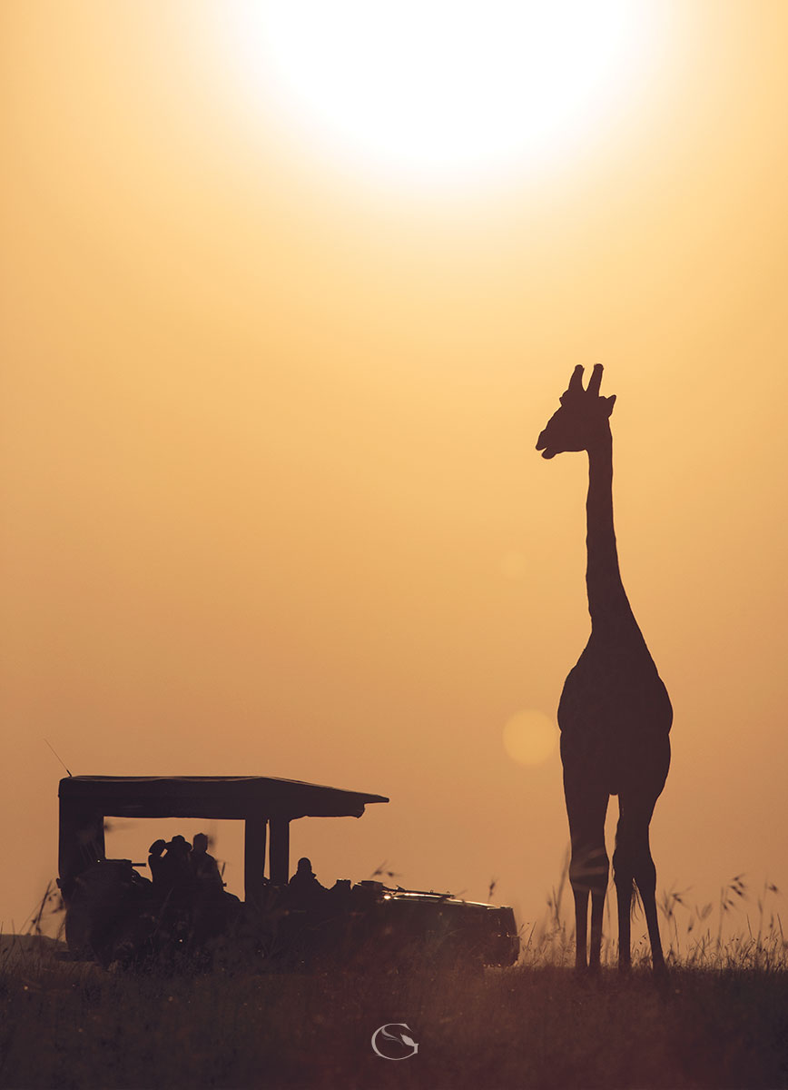 Private Migration Safari - Guided Safaris®  LuxurySafariCamps.com
