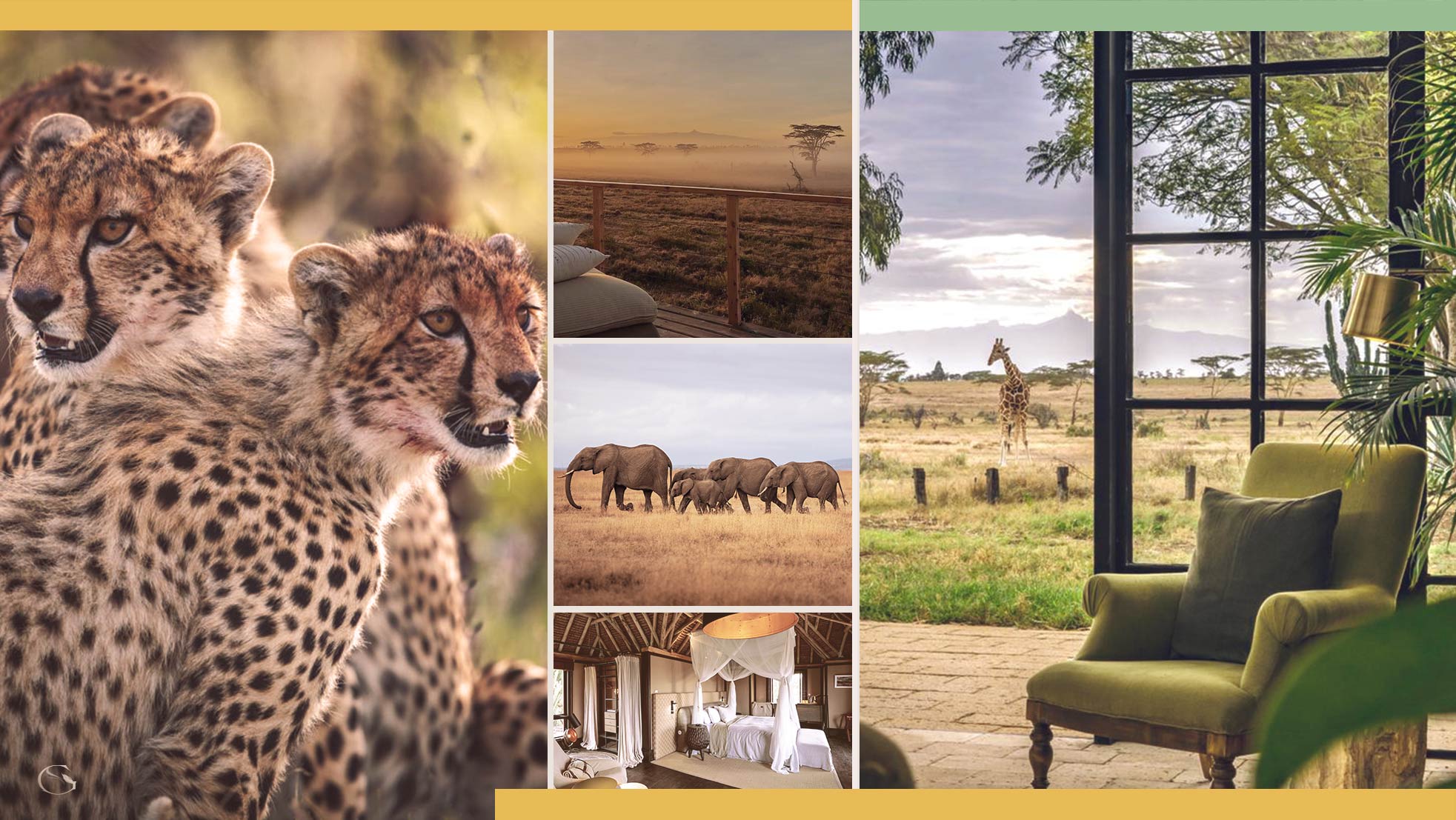 Private Jet Africa Safari - Guided Safaris®  LuxurySafariCamps.com
