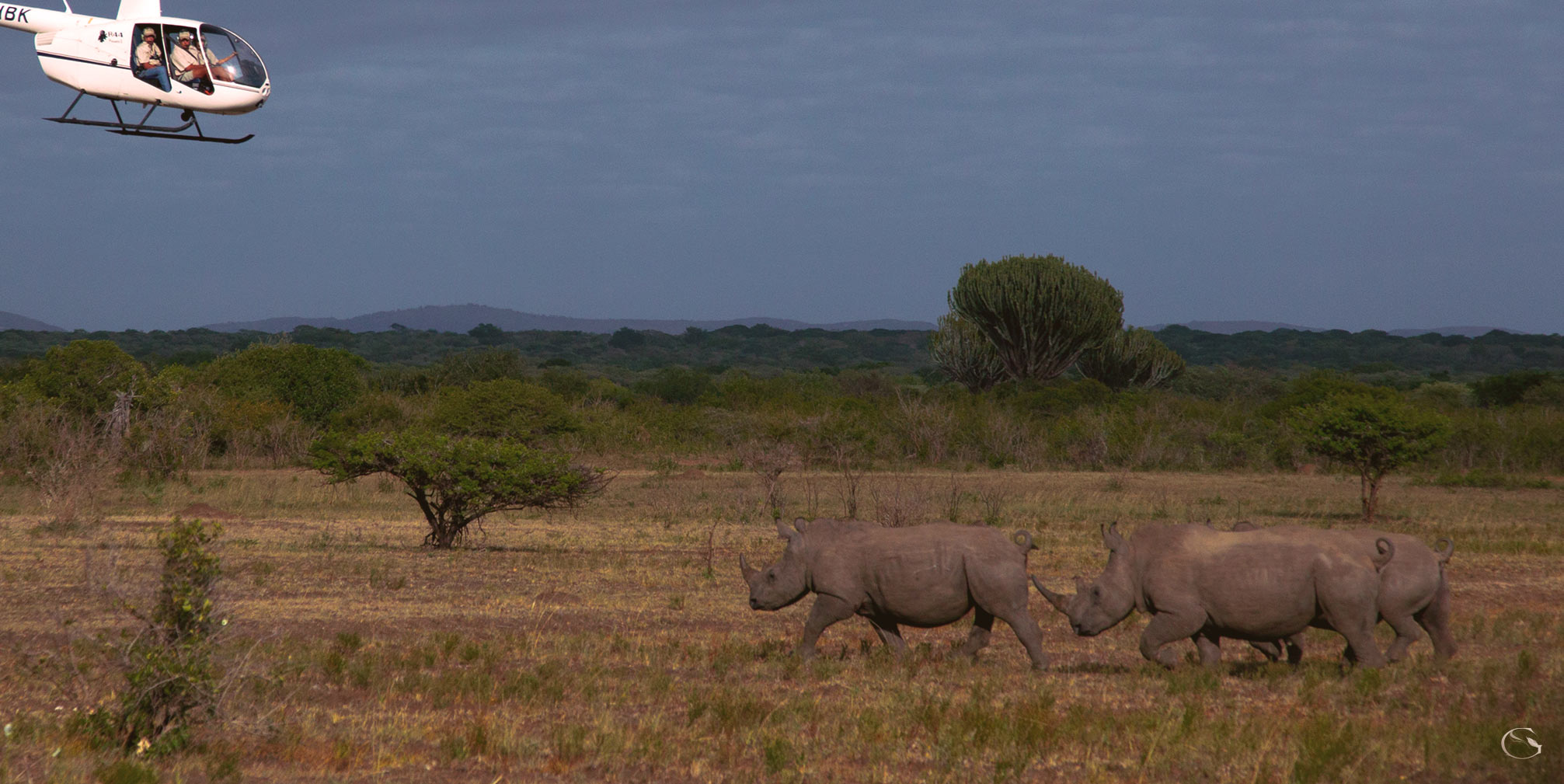 Private Helicopter Safari - Guided Safaris®  LuxurySafariCamps.com
