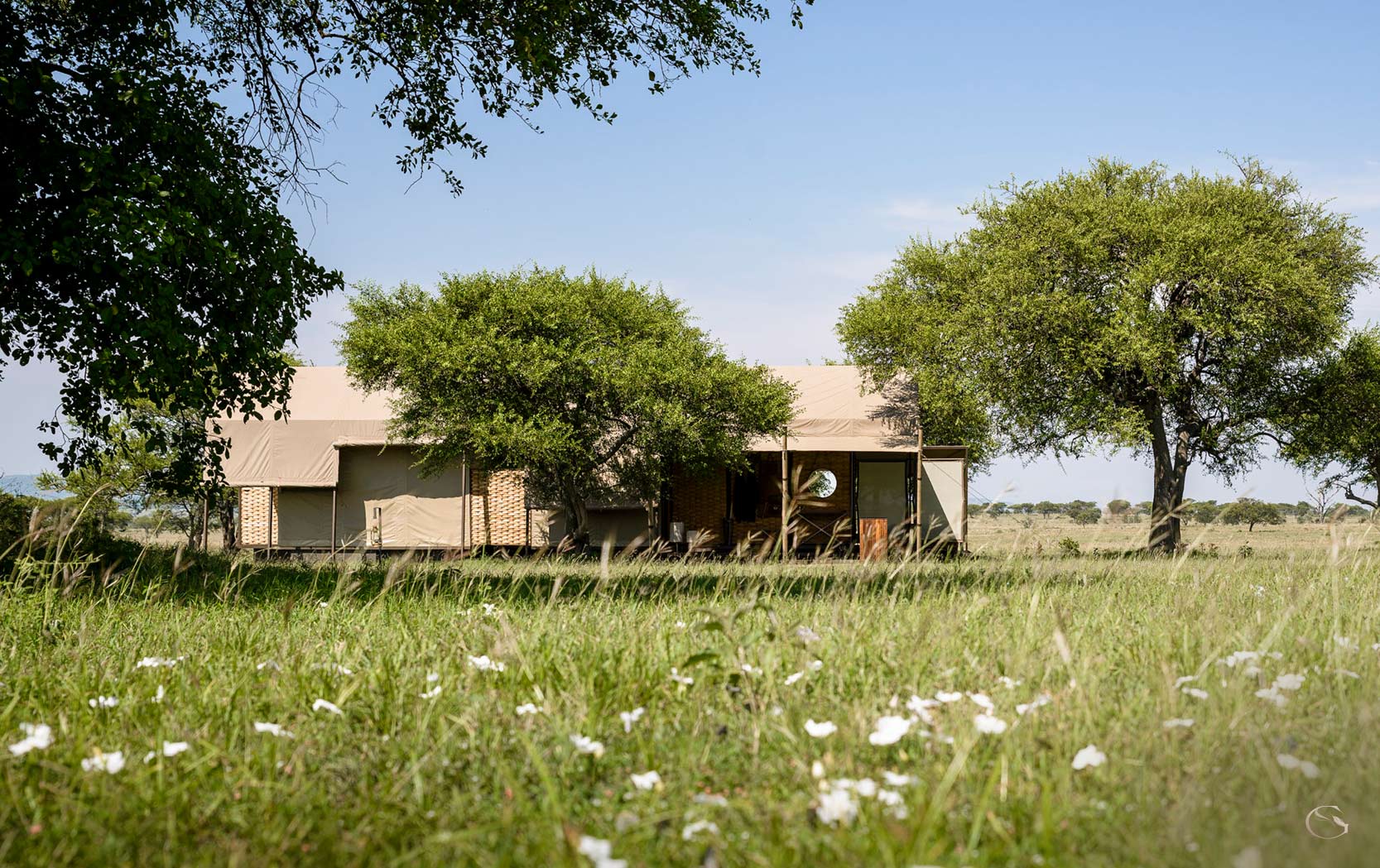 Singita Sabora Camp LuxurySafariCamps.com
