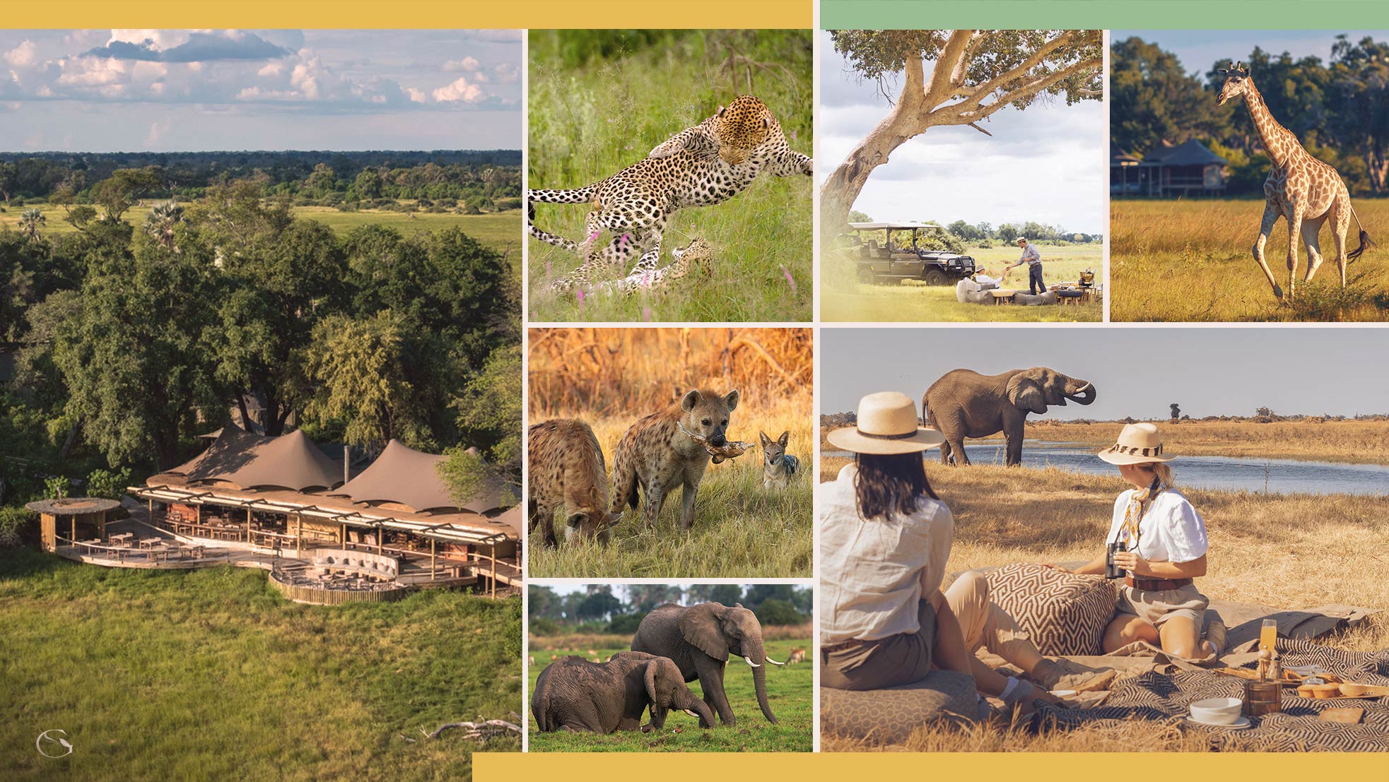 Mombo Camp safari • Luxury Botswana Guided Safaris® LuxurySafariCamps.com
