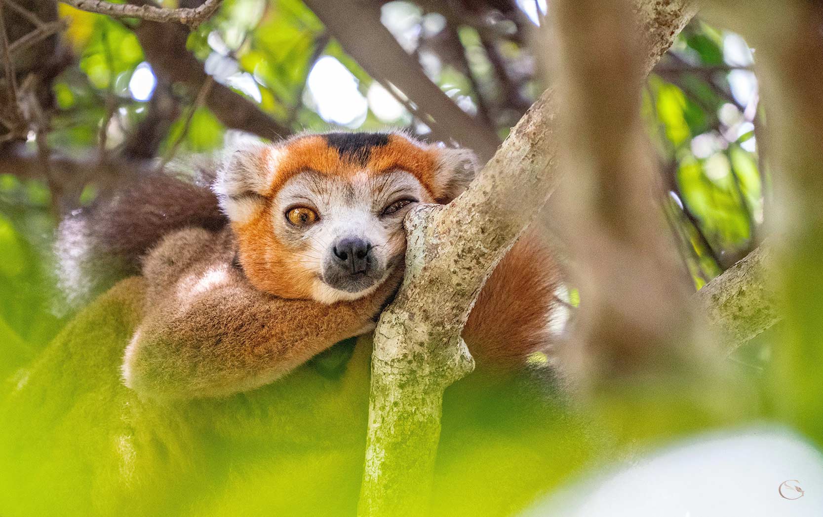 Miavana Island Madagascar LuxurySafariLodges.com