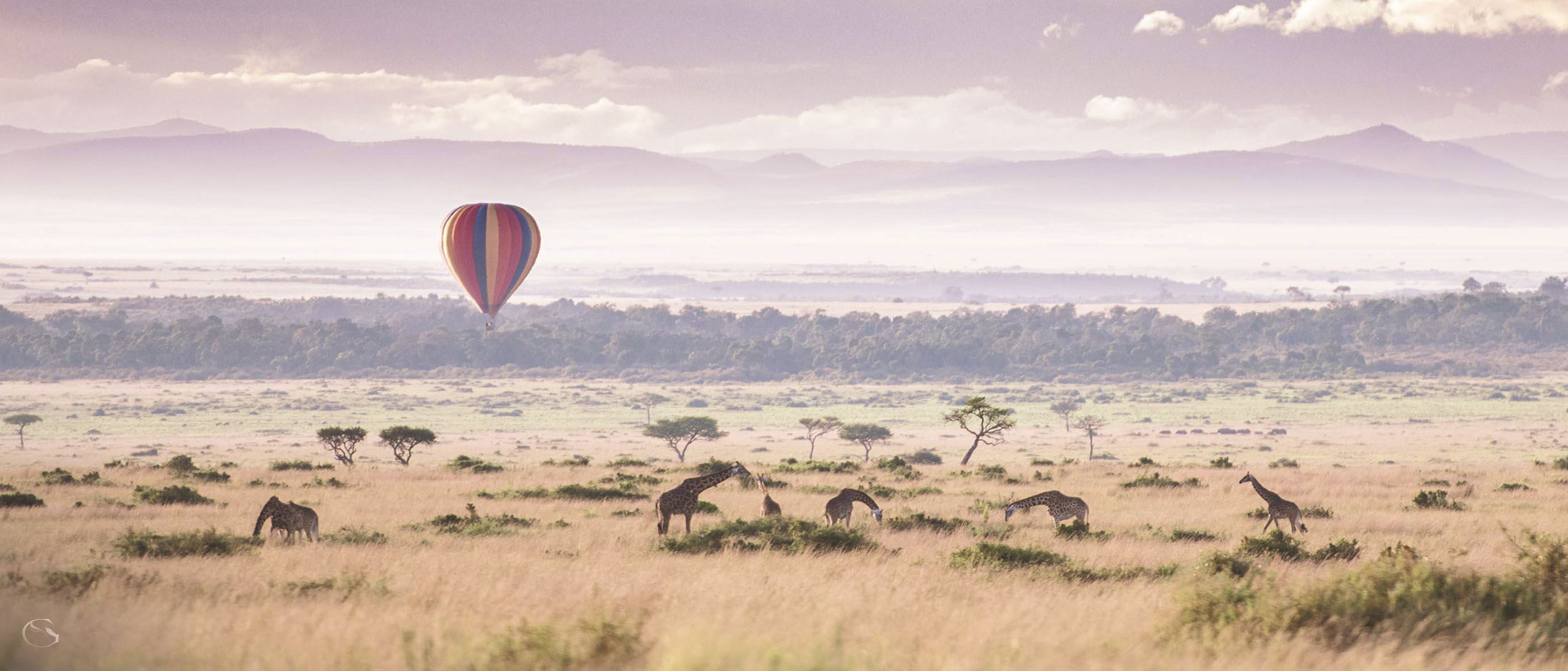 Private Masai Mara Safari - Guided Safaris®  LuxurySafariCamps.com