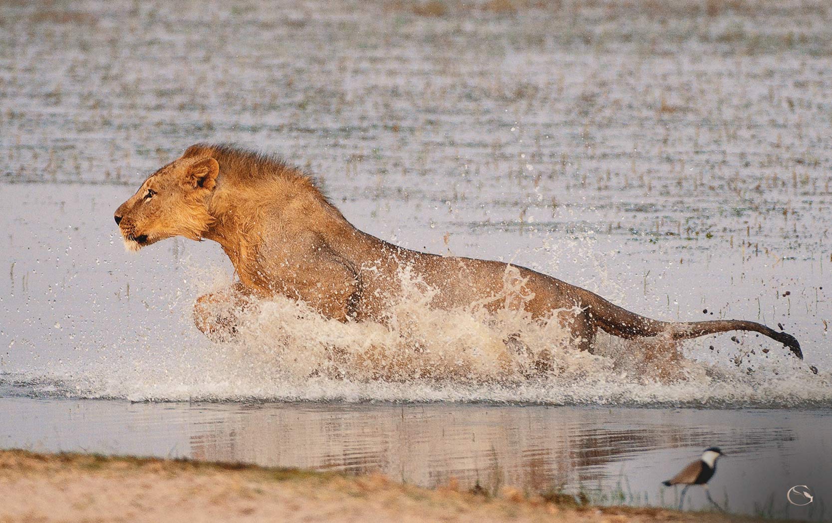 Ol Donyo Lodge Kenya LuxurySafariLodges.com
