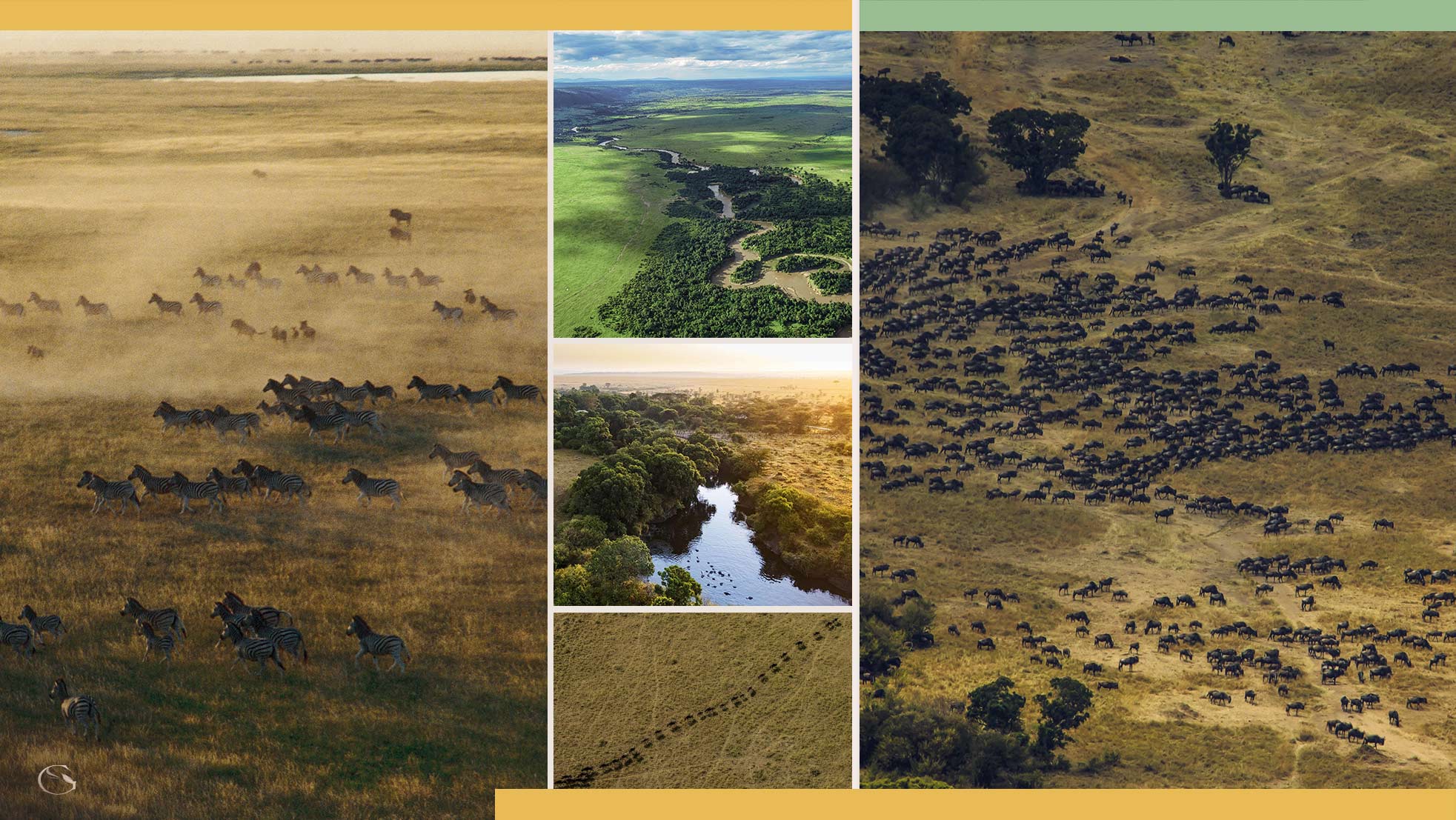 Private Helicopter Safari - Guided Safaris®  LuxurySafariCamps.com
