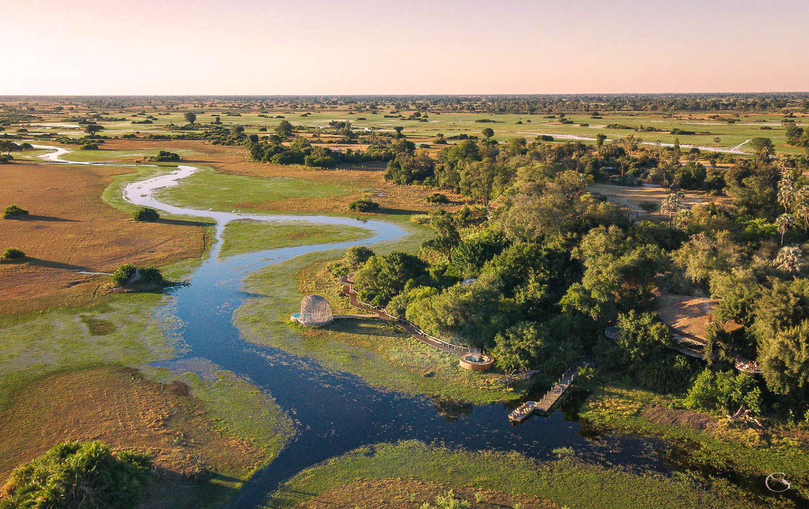 Mombo and Jao Camp safari • Luxury Botswana Guided Safaris® LuxurySafariCamps.com
