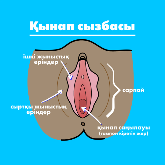 Part-1 Diagram Vagina Kazah