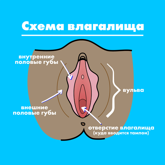 Part-1 Diagram Vagina Russian