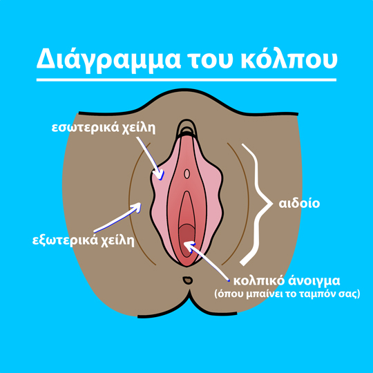 Part-1 Diagram Vagina Greek