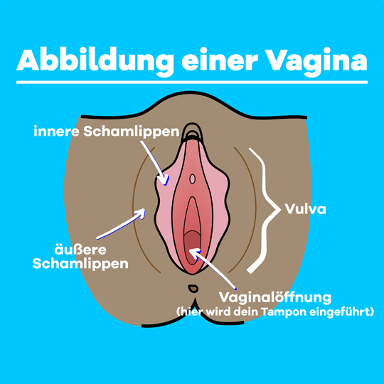 Part-1 Diagram Vagina DE