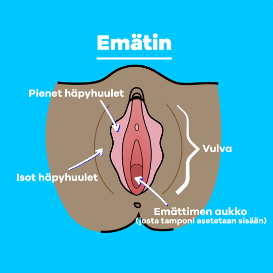 Part-1 Diagram Vagina FIN