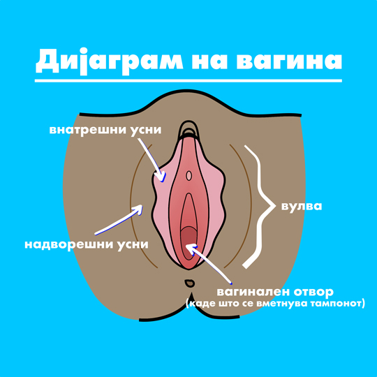 Part-1 Diagram Vagina Makedonian