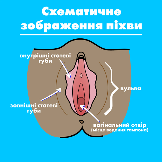 Part-1 Diagram Vagina Ukrainian