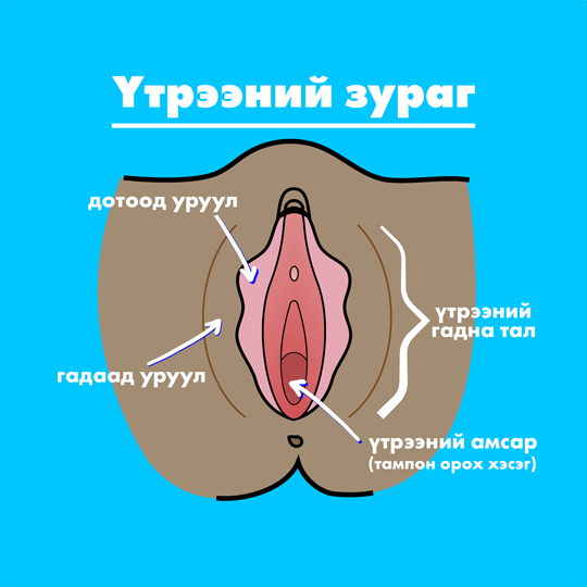 Part-1 Diagram Vagina Mongolian