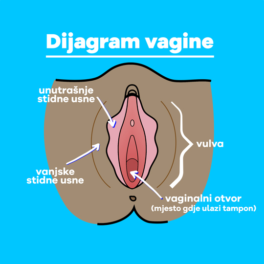 Part-1 Diagram Vagina Bosnian