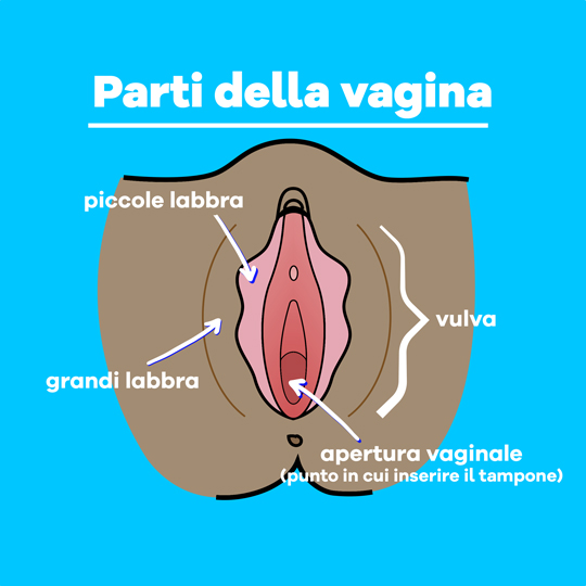 Part-1 Diagram Vagina Italian