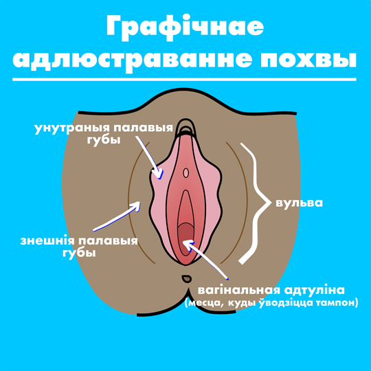 Part-1 Diagram Vagina Belarussian