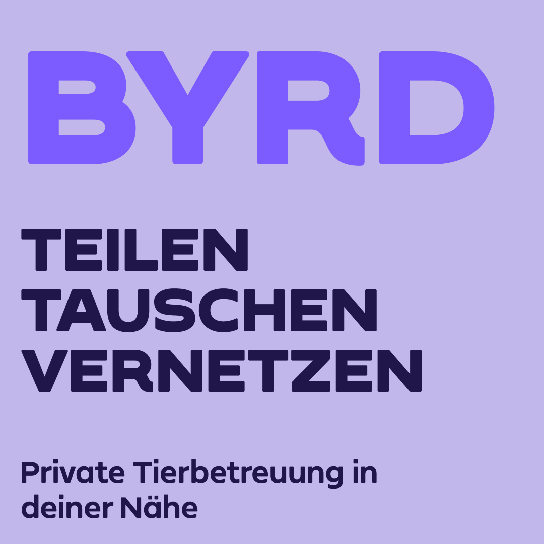 Display Typeface: Byrd