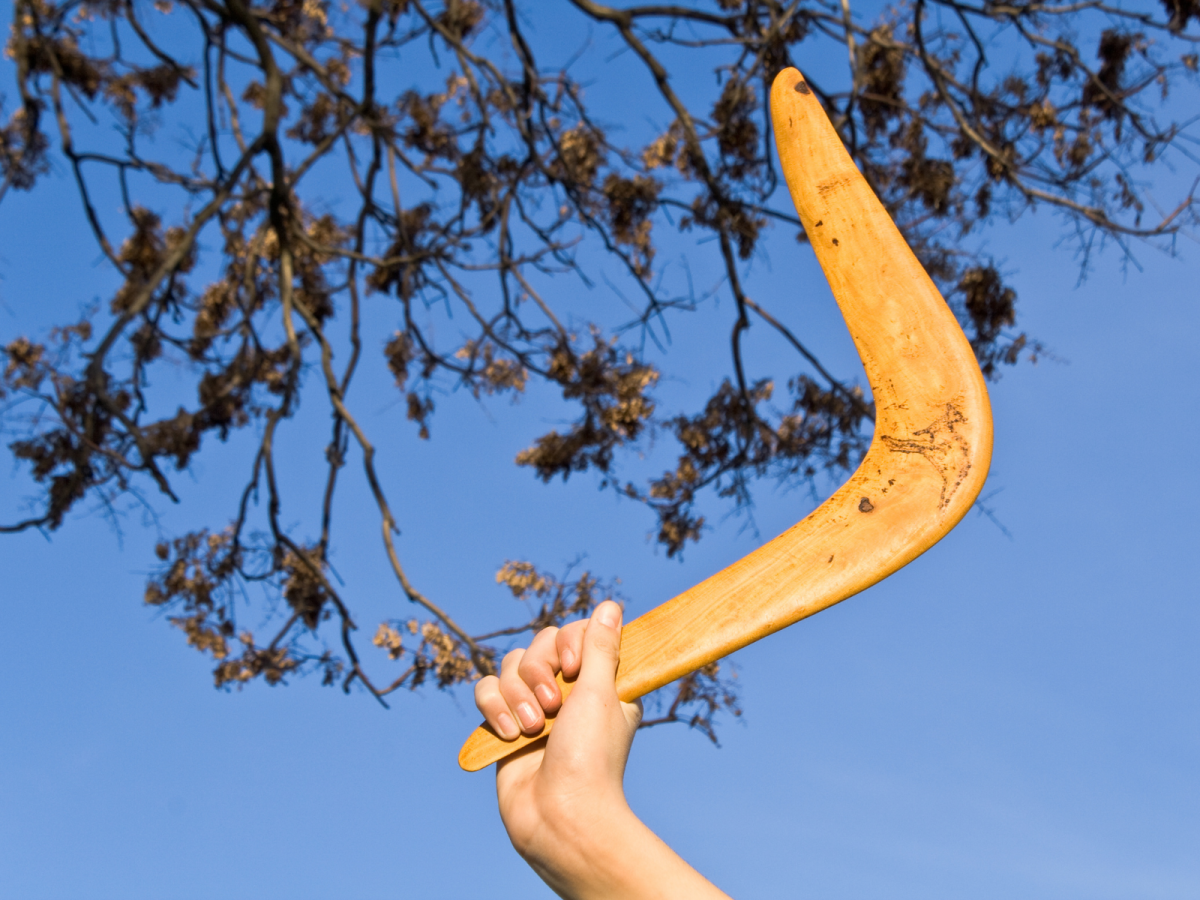 Reduce returns with customer reviews - boomerang with tree in background and blue sky