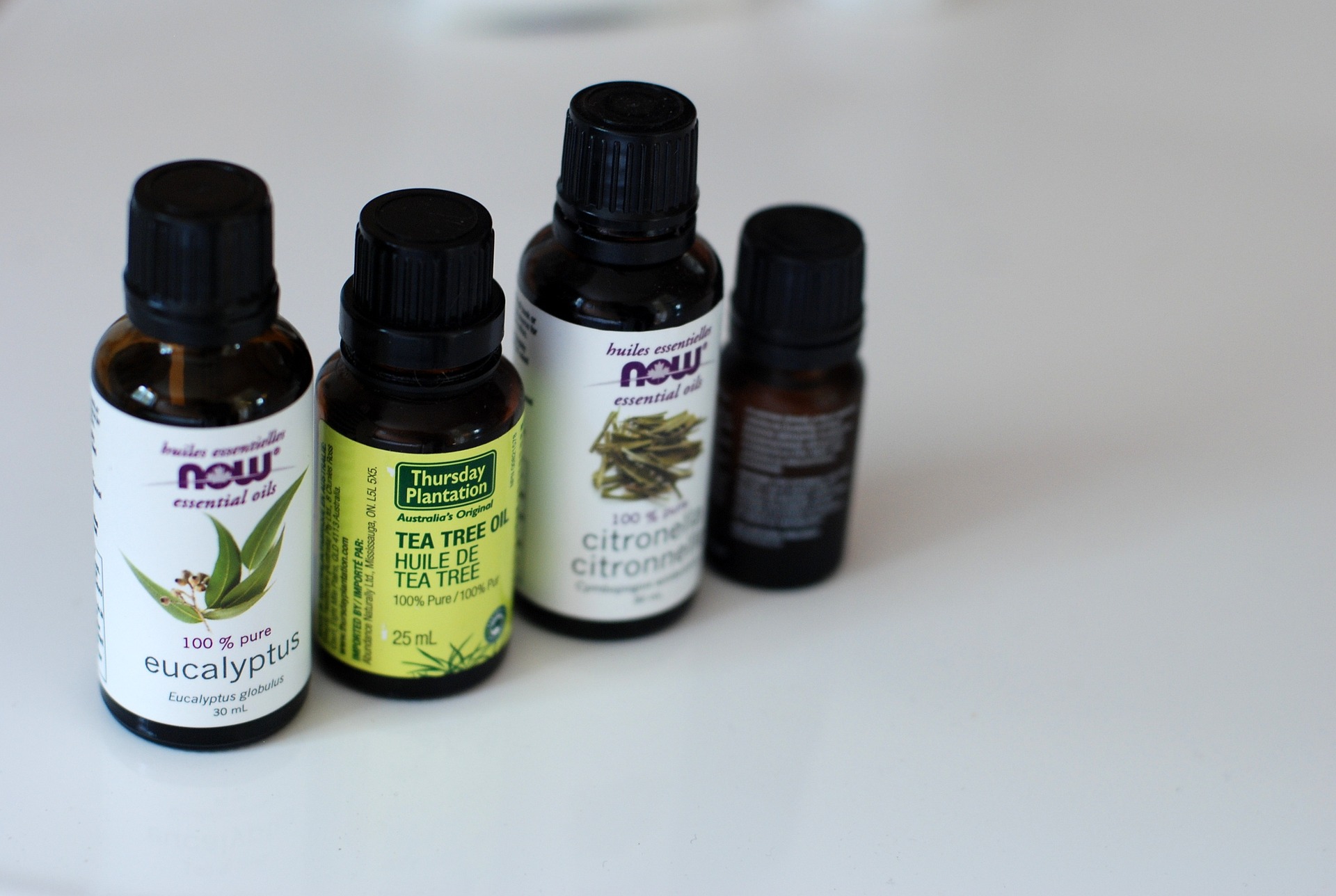 Le Tea Tree