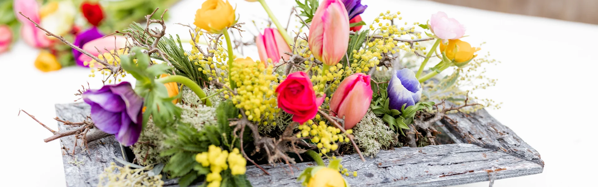 Colourful spring arrangement with ranunculus, French tulips and mimosa