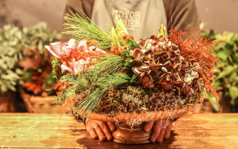 natural Advent trends