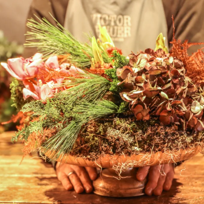 natural Advent trends