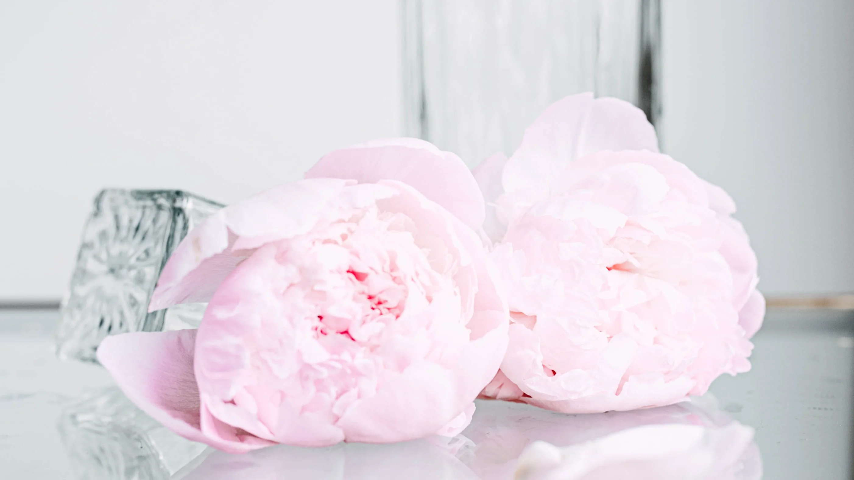 pioenen,roze,pecher,21