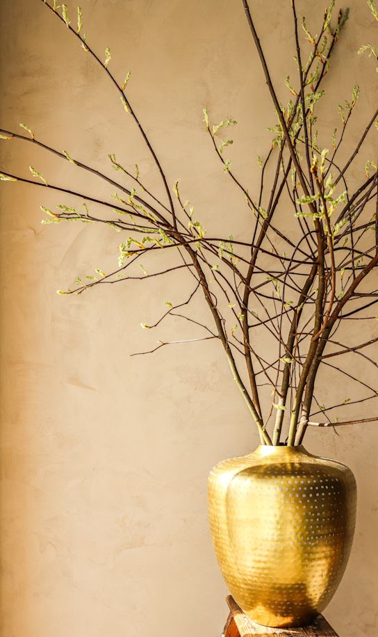 bloesemtakken,lente,26