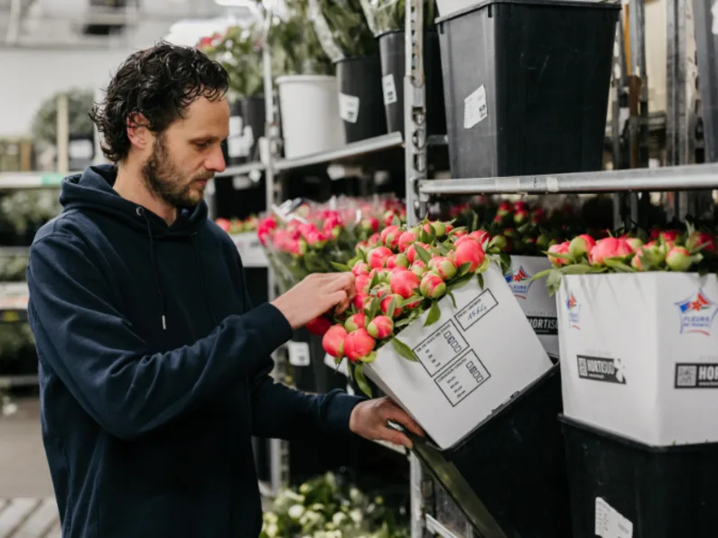 gf,productie,charlottevegmond,25