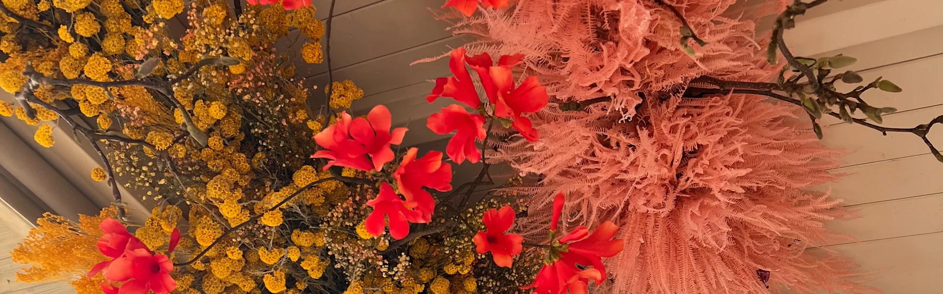 droogbloemen transformeren ruimtes
