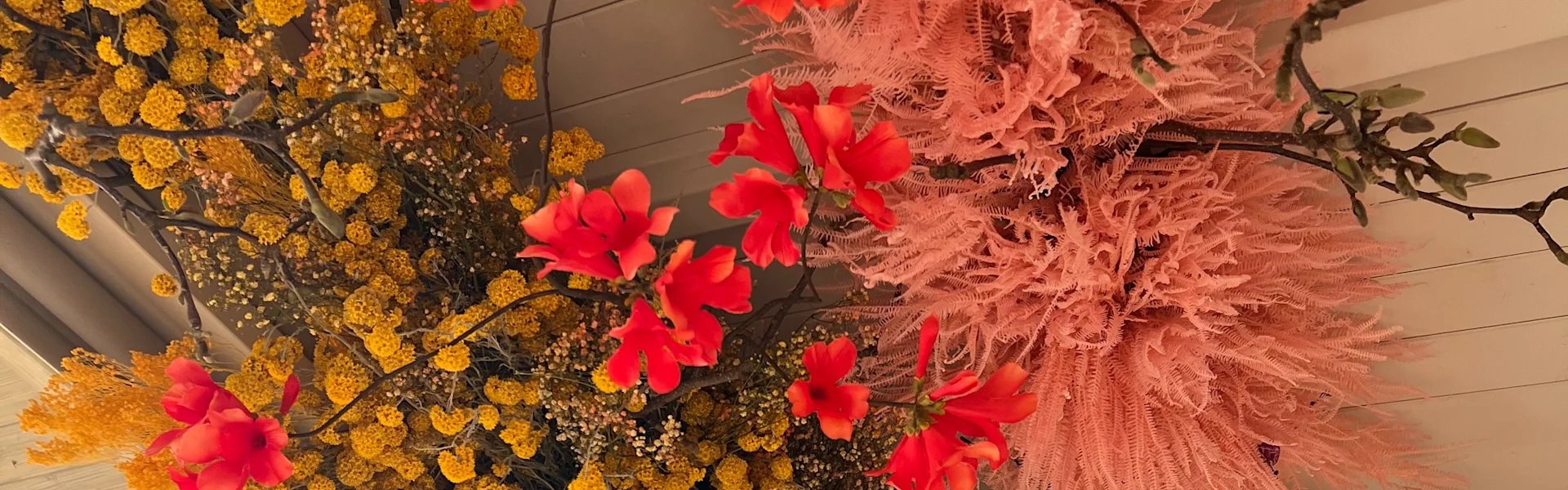 dried flowers transform spaces