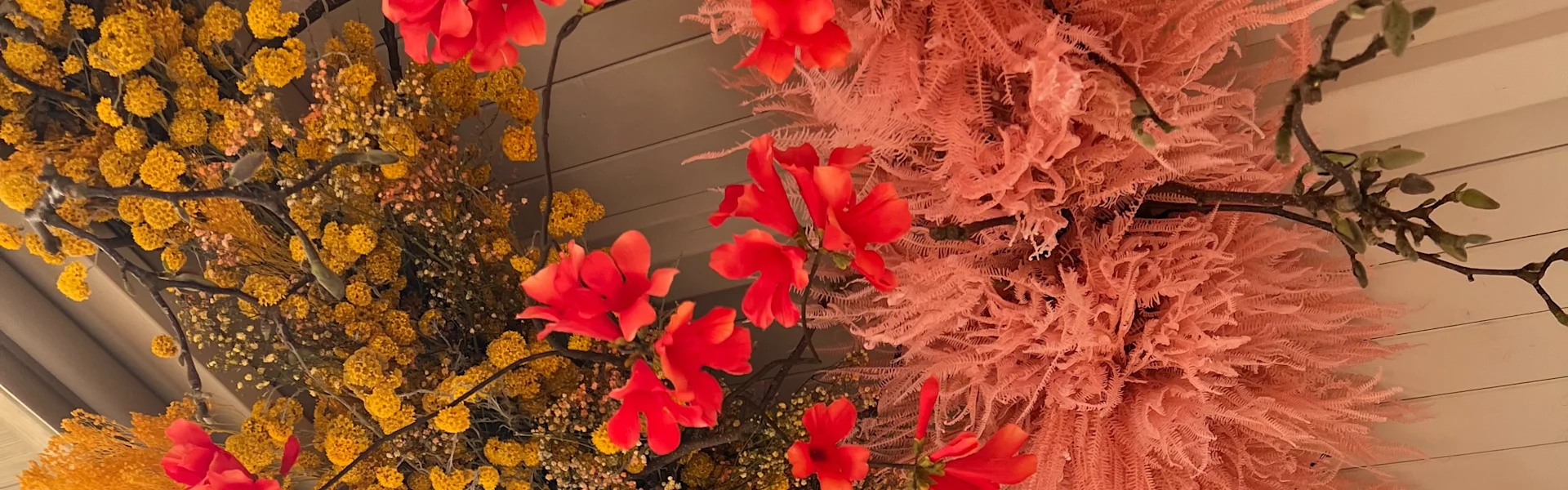 getrocknete blumen verwandeln rÀume