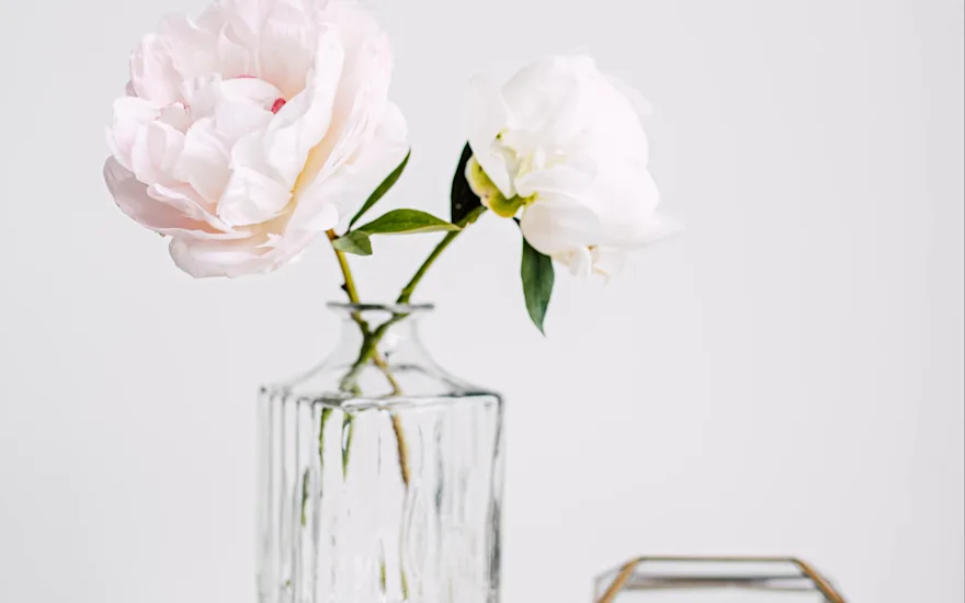 pfingstrosen,rosa,motherschoice,21 (3)