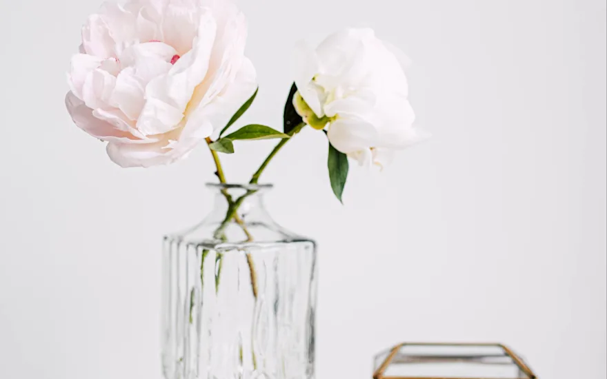 peonies,pink,motherschoice,21 (3)