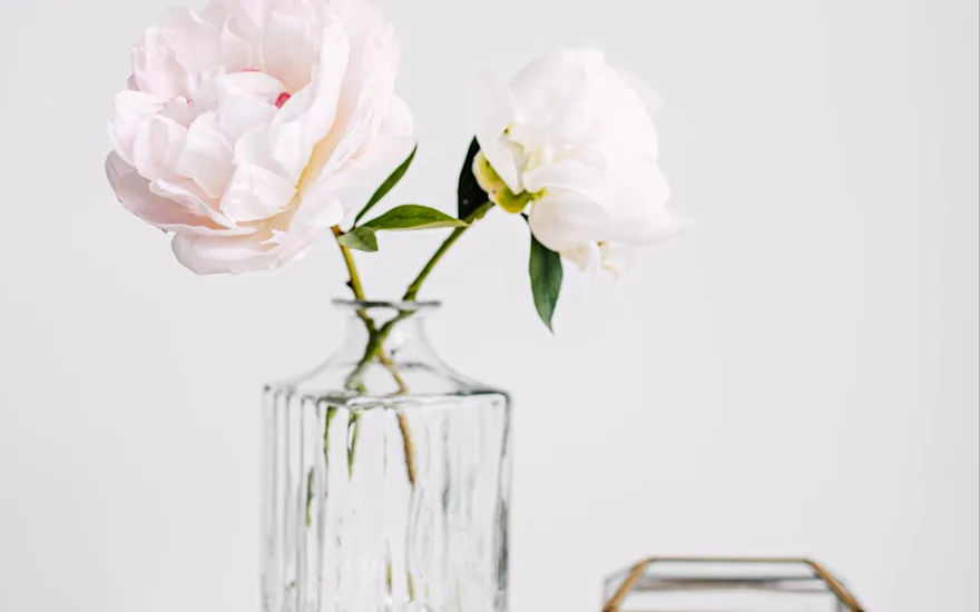 pioenen,roze,motherschoice,21 (3)