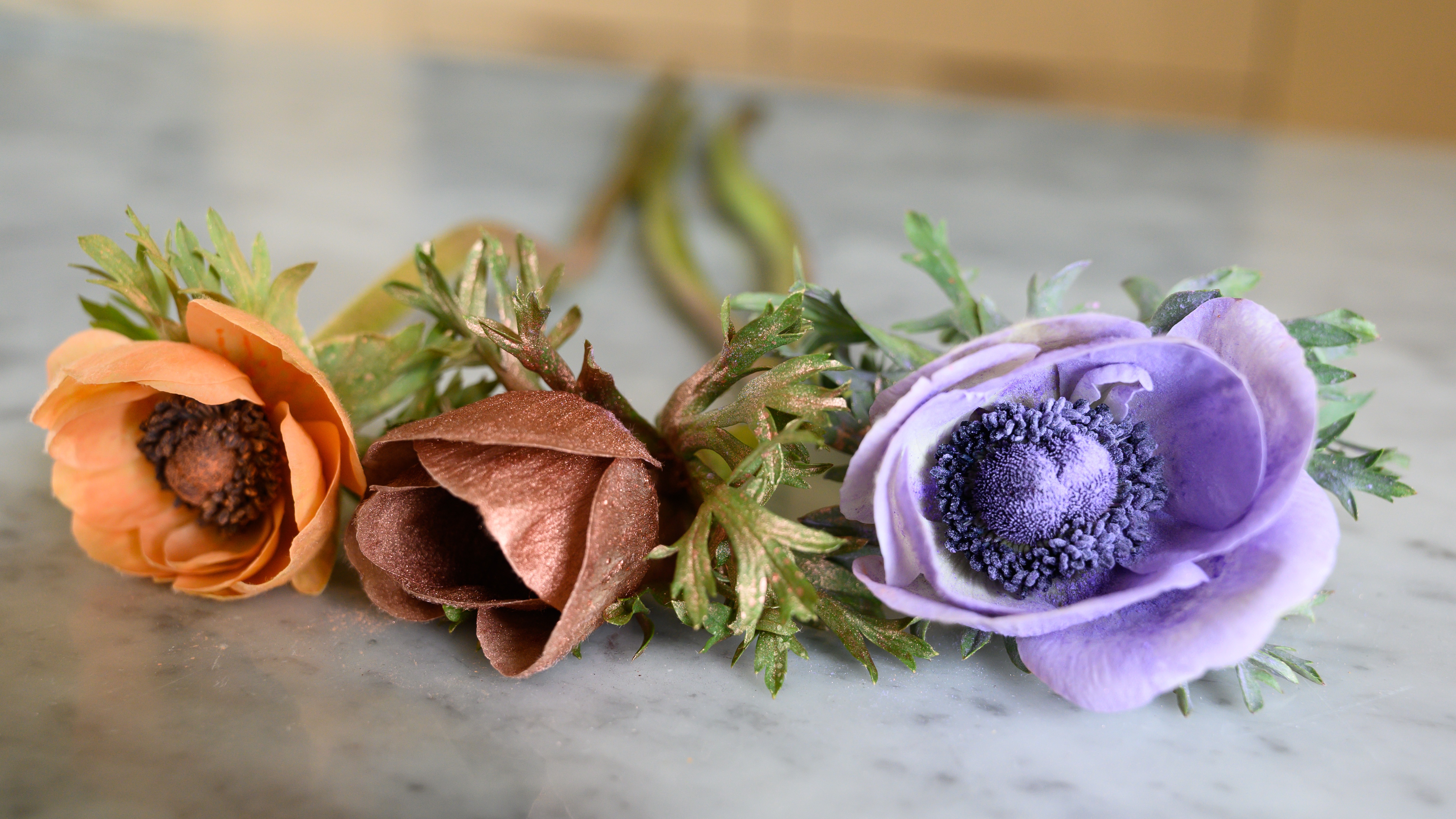 A road trip full of top quality French anemones 