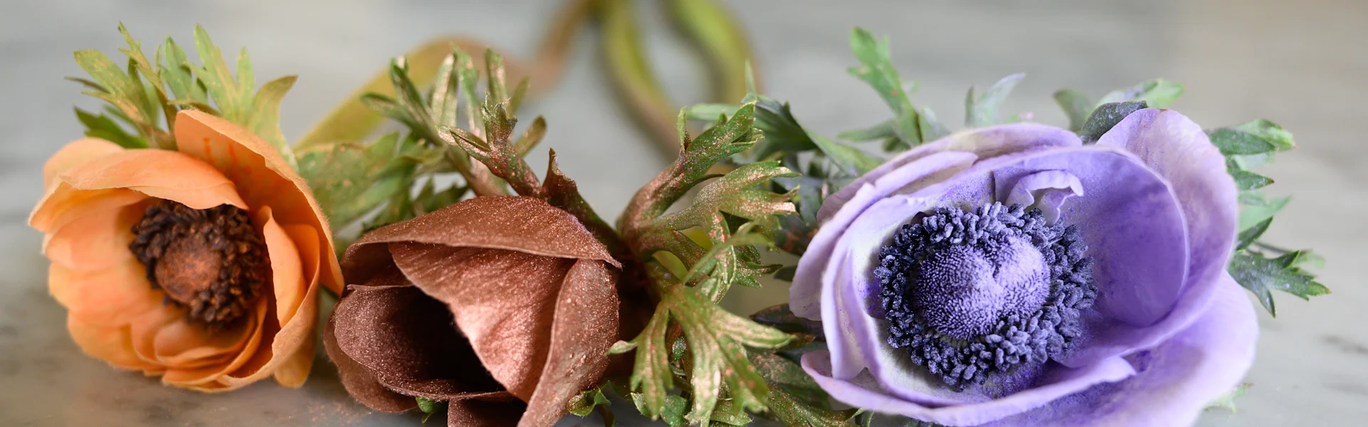 A road trip full of top quality French anemones
