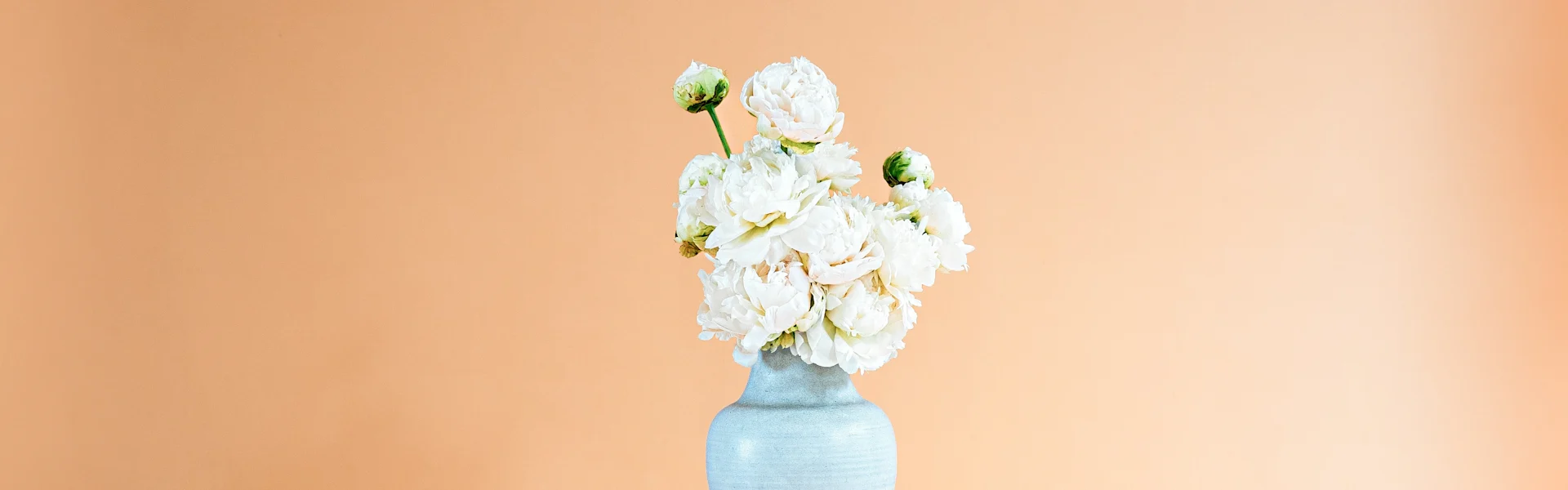 peony of the week
