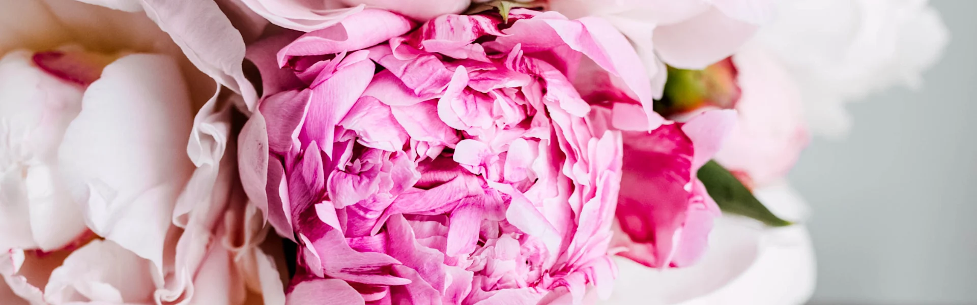 peonies
