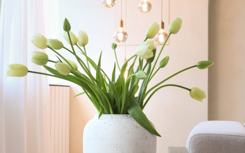 tulpen,lente,26