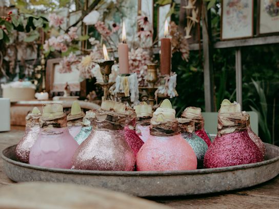 amaryllis,wachs,23 (1)