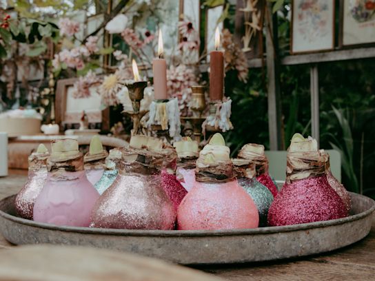 amaryllis,wax,23 (1)