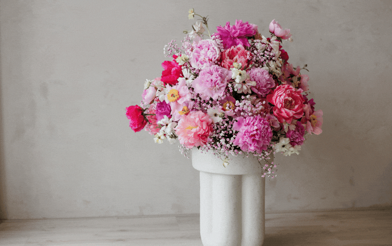 colorful, peonies, 2026